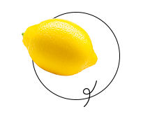 「レモン」